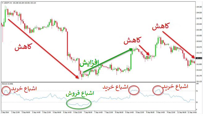 مطالعات موردی و مثال‌های واقعی