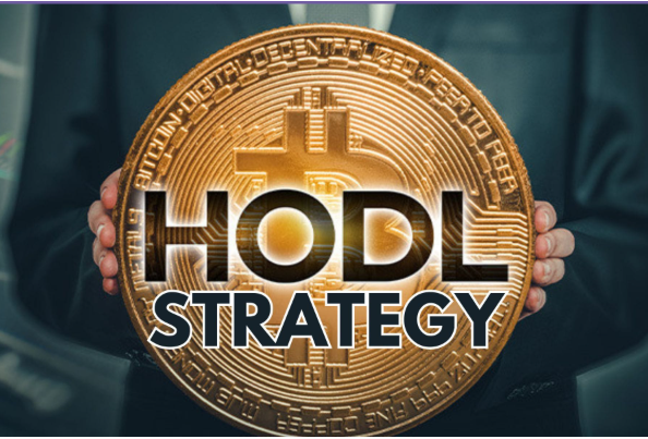  بخش اول: استراتژی HODL چیست
